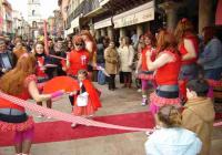 Ver Foto de Galeria Carnavales de Toro