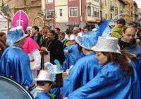 Ver Foto de Galeria Carnavales de Toro