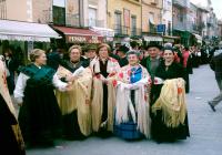 Ver Foto de Galeria Carnavales de Toro