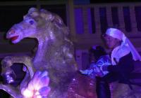 Ver Foto de Galeria Fiestas de Toro